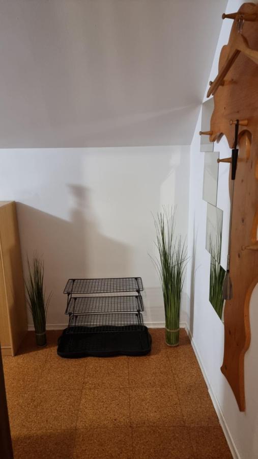 Apartma Ursic Kranjska Gora Eksteriør billede